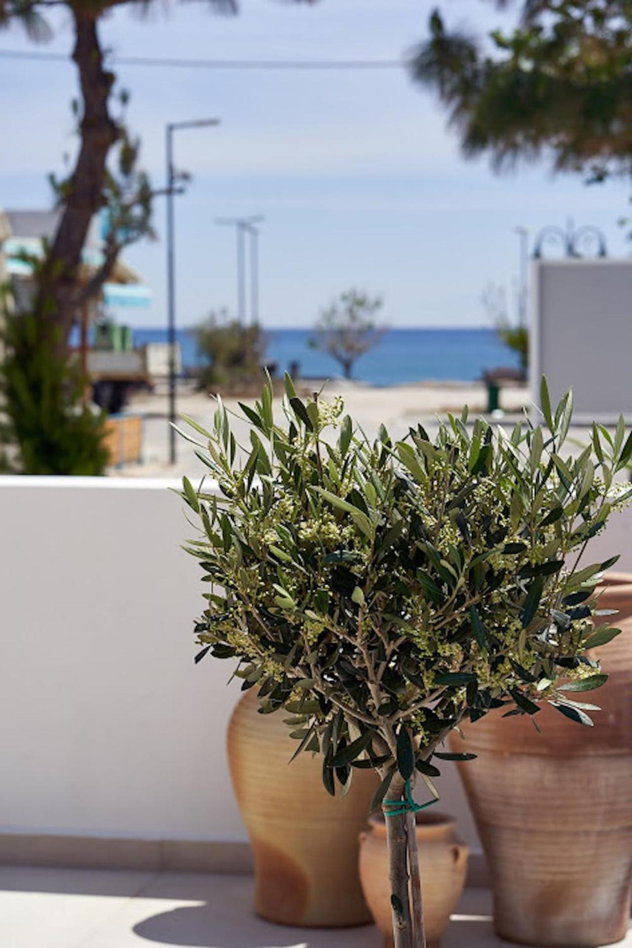 Sia Mare Seaside Apartments Faliraki Habitación foto